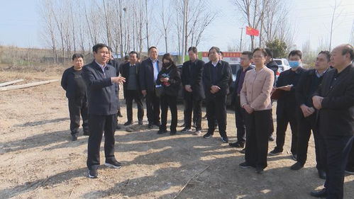 开启 春忙 模式 镇平县委书记艾进德 县长黄静现场办公加速推进重大项目建设