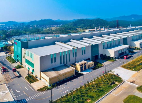 佛山市委书记鲁毅莅临佛山诚德新材料公司调研