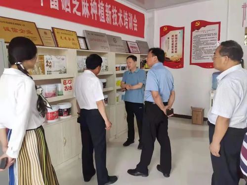 镇平县委书记李显庆到一滴香油脂调研