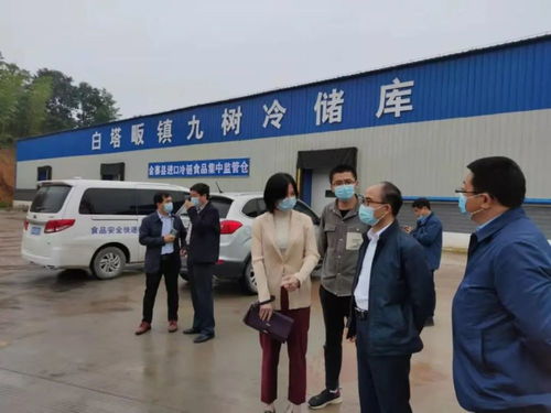 安徽金寨县委副书记张涧调研进口冷链食品集中监管仓