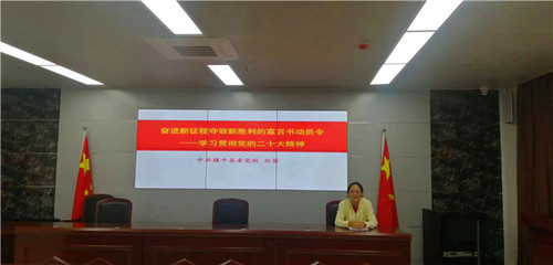 镇平县委党校学习贯彻党的二十大精神