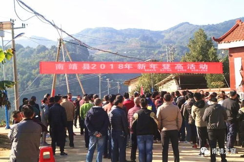 登高迎新年 全民健身启新篇